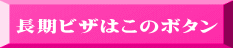 下記以外の長期ビザはこちら